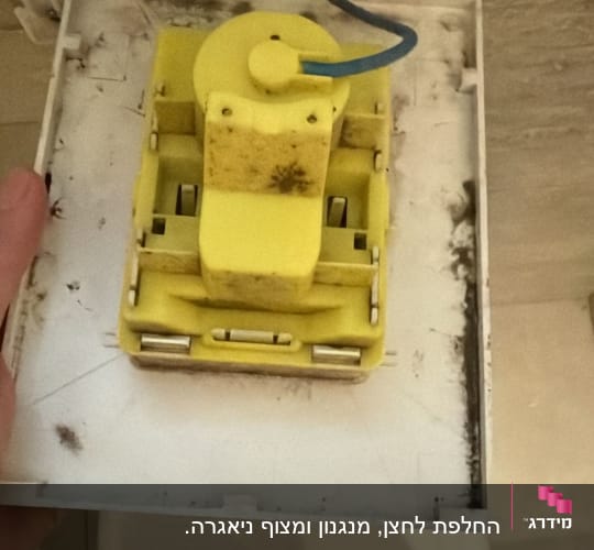מנגנון צנרת בשירותים עם עובש